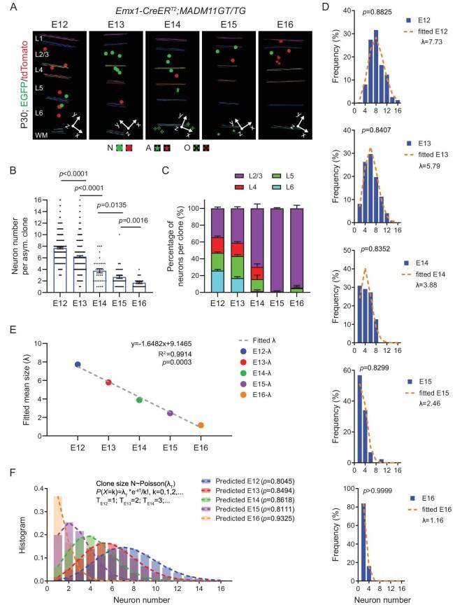 https://cdn.ncbi.nlm.nih.gov/pmc/blobs/00eb/10810685/71a4f0133a86/nwad247fig1.jpg