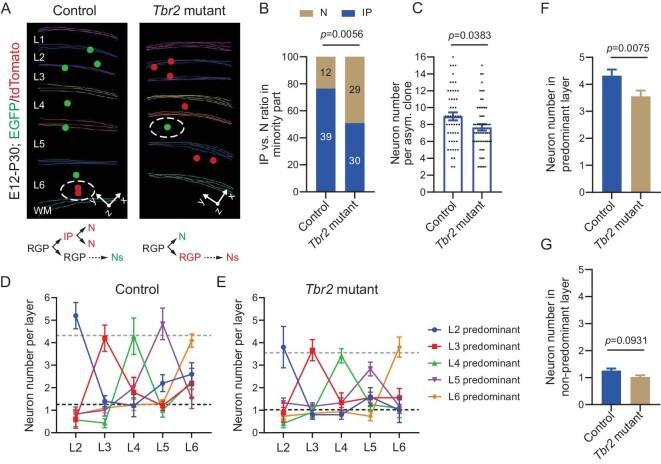 https://cdn.ncbi.nlm.nih.gov/pmc/blobs/00eb/10810685/fb9198130419/nwad247fig4.jpg