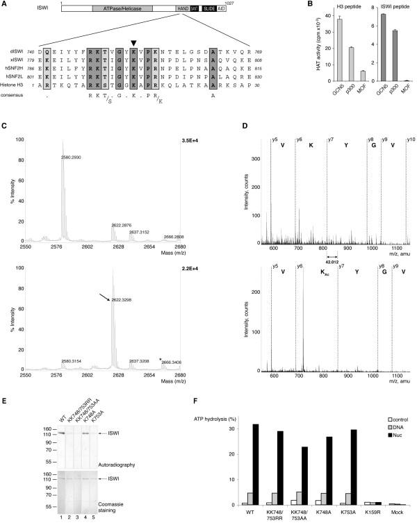 https://cdn.ncbi.nlm.nih.gov/pmc/blobs/00ec/2045673/49175ace39ab/1471-2199-8-73-4.jpg