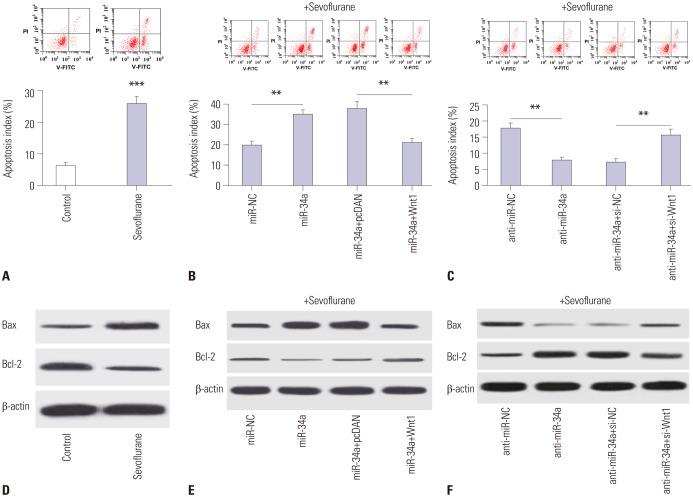 https://cdn.ncbi.nlm.nih.gov/pmc/blobs/00ed/6240572/516bc8a16d3b/ymj-59-1205-g003.jpg