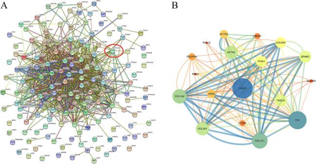 https://cdn.ncbi.nlm.nih.gov/pmc/blobs/00ee/10870461/03132e177f62/12864_2024_10056_Fig13_HTML.jpg
