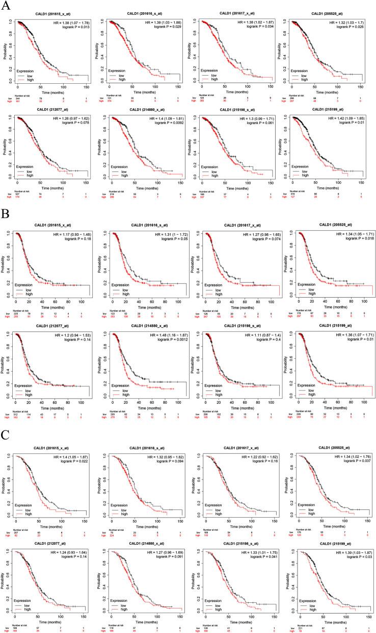 https://cdn.ncbi.nlm.nih.gov/pmc/blobs/00ee/10870461/1cd9a5bd42aa/12864_2024_10056_Fig8_HTML.jpg