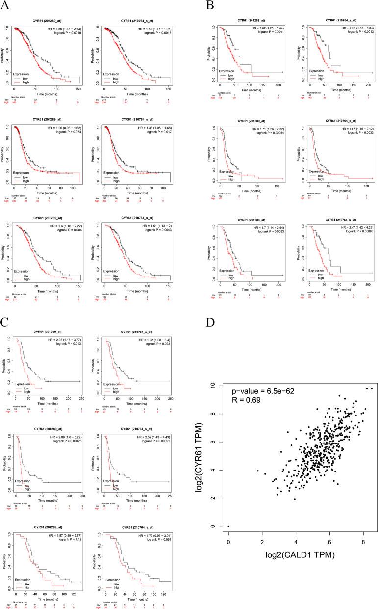 https://cdn.ncbi.nlm.nih.gov/pmc/blobs/00ee/10870461/358db7e0edfa/12864_2024_10056_Fig15_HTML.jpg