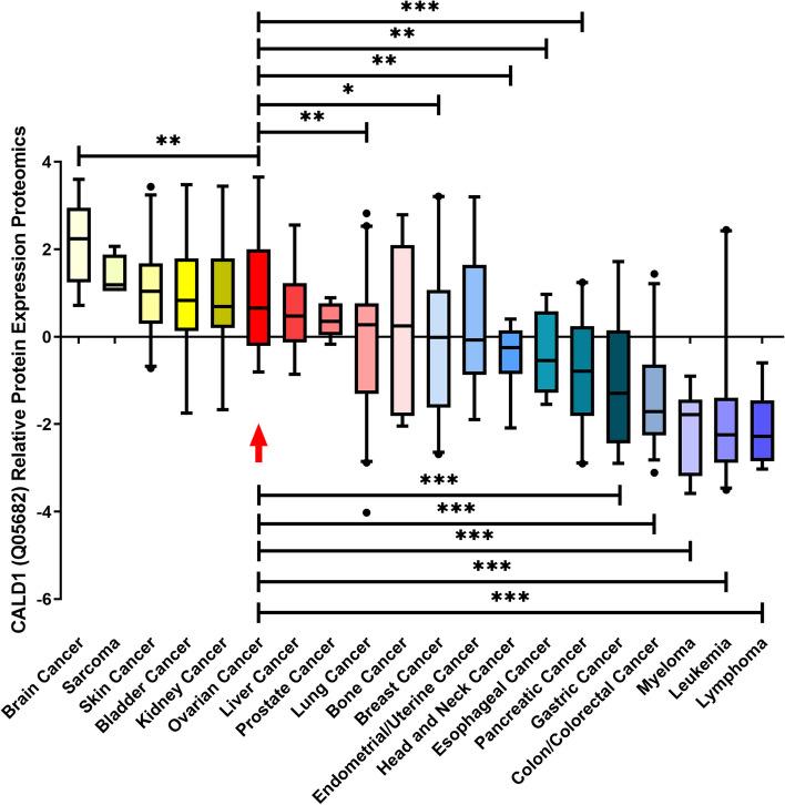 https://cdn.ncbi.nlm.nih.gov/pmc/blobs/00ee/10870461/4420a812fc82/12864_2024_10056_Fig4_HTML.jpg