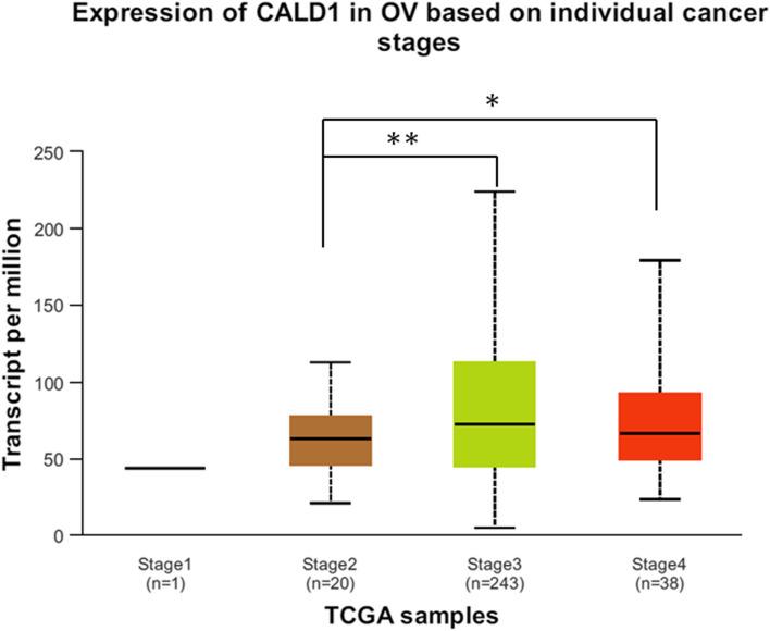 https://cdn.ncbi.nlm.nih.gov/pmc/blobs/00ee/10870461/4f0ce85c9c07/12864_2024_10056_Fig7_HTML.jpg