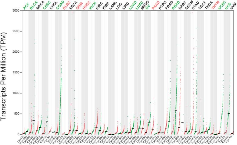 https://cdn.ncbi.nlm.nih.gov/pmc/blobs/00ee/10870461/598307781978/12864_2024_10056_Fig5_HTML.jpg