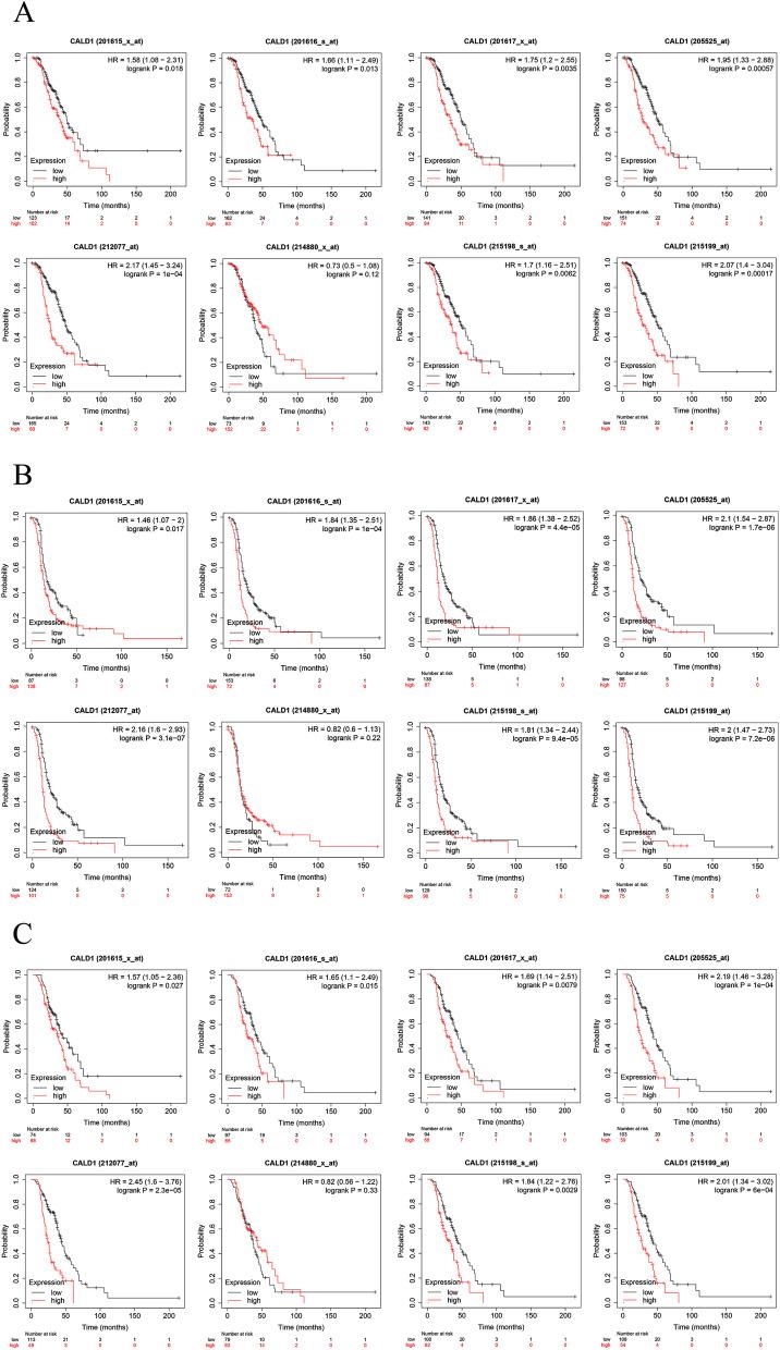 https://cdn.ncbi.nlm.nih.gov/pmc/blobs/00ee/10870461/8f8ff3888865/12864_2024_10056_Fig9_HTML.jpg