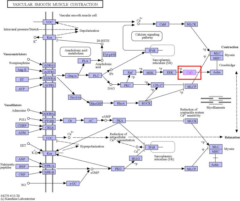 https://cdn.ncbi.nlm.nih.gov/pmc/blobs/00ee/10870461/a14a494e3f52/12864_2024_10056_Fig16_HTML.jpg