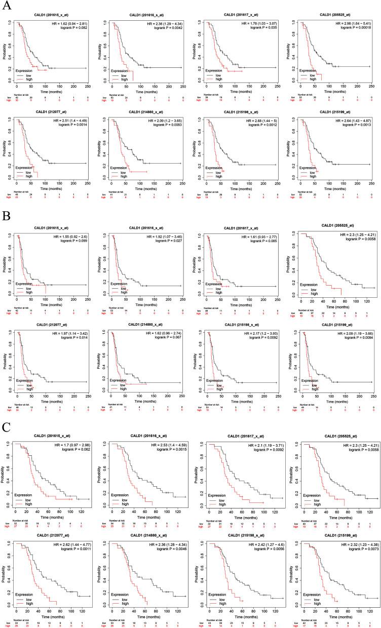 https://cdn.ncbi.nlm.nih.gov/pmc/blobs/00ee/10870461/b07c33d88a7c/12864_2024_10056_Fig10_HTML.jpg