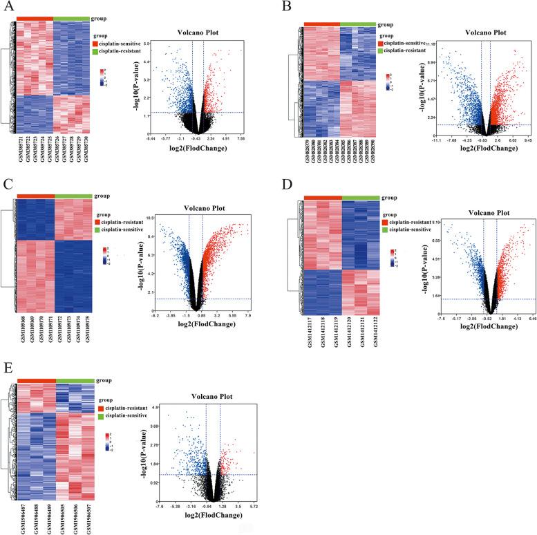 https://cdn.ncbi.nlm.nih.gov/pmc/blobs/00ee/10870461/d73882b478d6/12864_2024_10056_Fig1_HTML.jpg