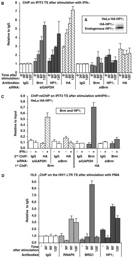 https://cdn.ncbi.nlm.nih.gov/pmc/blobs/00ef/2782133/fd7791dc1df4/pgen.1000769.g005.jpg