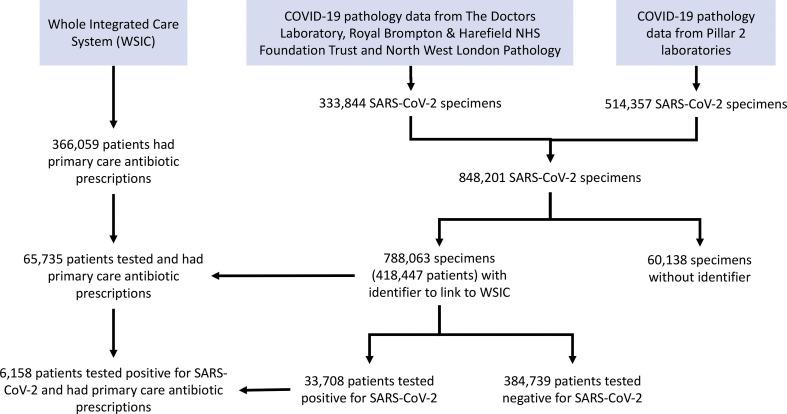 https://cdn.ncbi.nlm.nih.gov/pmc/blobs/00ef/7884225/3a464dafe4a5/figs1_lrg.jpg