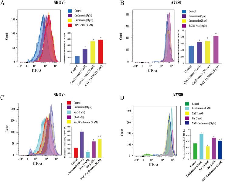 https://cdn.ncbi.nlm.nih.gov/pmc/blobs/00f1/10257395/1d6810959a4d/peerj-11-15498-g002.jpg