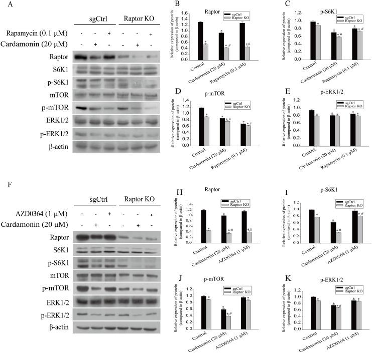 https://cdn.ncbi.nlm.nih.gov/pmc/blobs/00f1/10257395/67628dcd4829/peerj-11-15498-g008.jpg