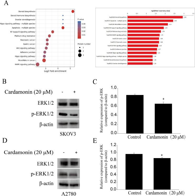 https://cdn.ncbi.nlm.nih.gov/pmc/blobs/00f1/10257395/9945de202df5/peerj-11-15498-g004.jpg