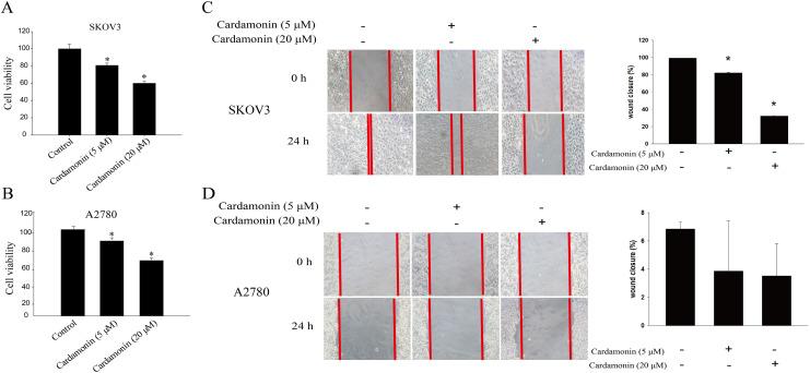 https://cdn.ncbi.nlm.nih.gov/pmc/blobs/00f1/10257395/ac02791b2075/peerj-11-15498-g001.jpg