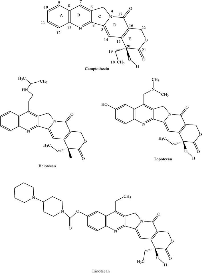 https://cdn.ncbi.nlm.nih.gov/pmc/blobs/00f1/11186875/05ac5881511f/253_2024_13187_Fig2_HTML.jpg