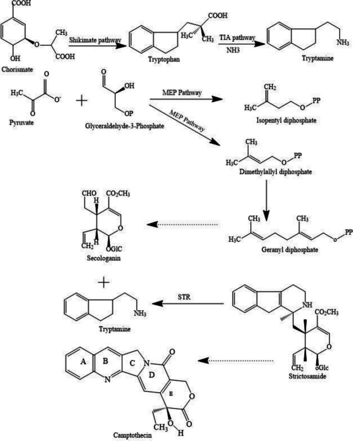 https://cdn.ncbi.nlm.nih.gov/pmc/blobs/00f1/11186875/a935374ea07d/253_2024_13187_Fig3_HTML.jpg
