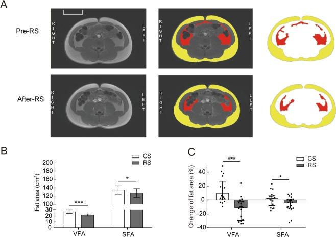 https://cdn.ncbi.nlm.nih.gov/pmc/blobs/00f1/6426958/abe4079ace80/41598_2018_38216_Fig1_HTML.jpg