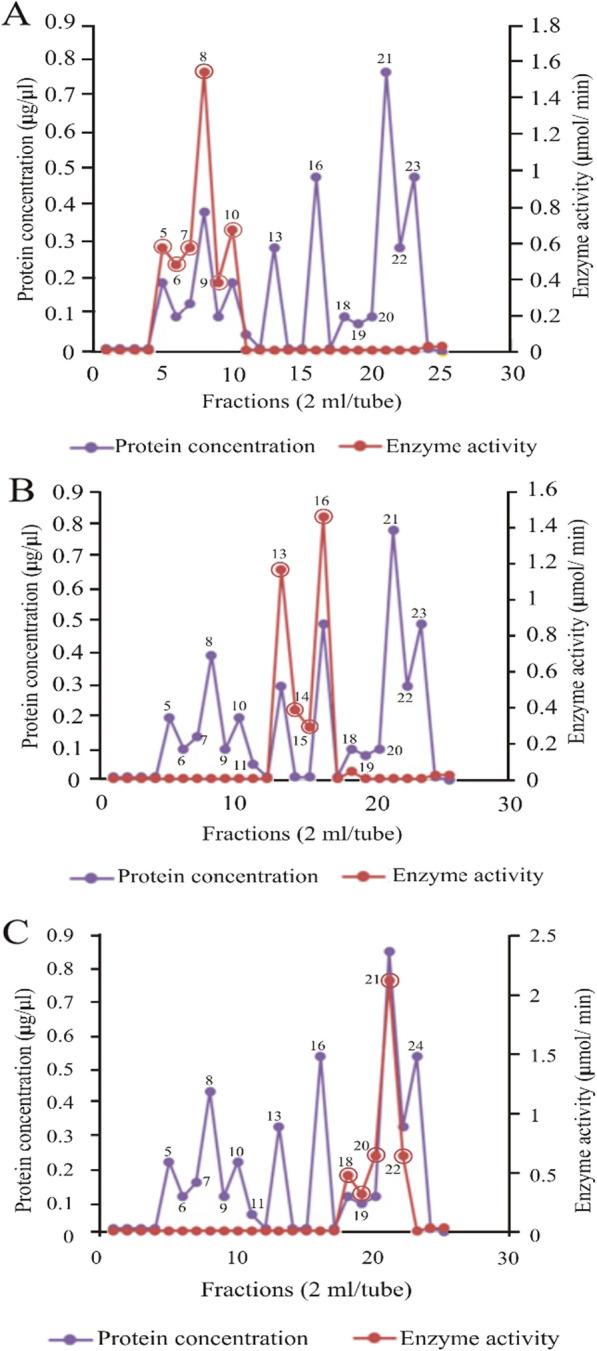 https://cdn.ncbi.nlm.nih.gov/pmc/blobs/00f2/10823708/6ee43bbe0a82/41182_2024_581_Fig6_HTML.jpg
