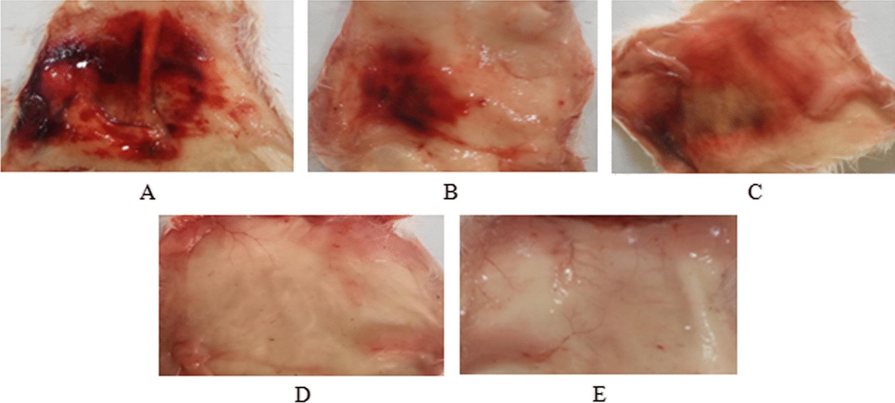 https://cdn.ncbi.nlm.nih.gov/pmc/blobs/00f2/10823708/cdda13edfe46/41182_2024_581_Fig3_HTML.jpg