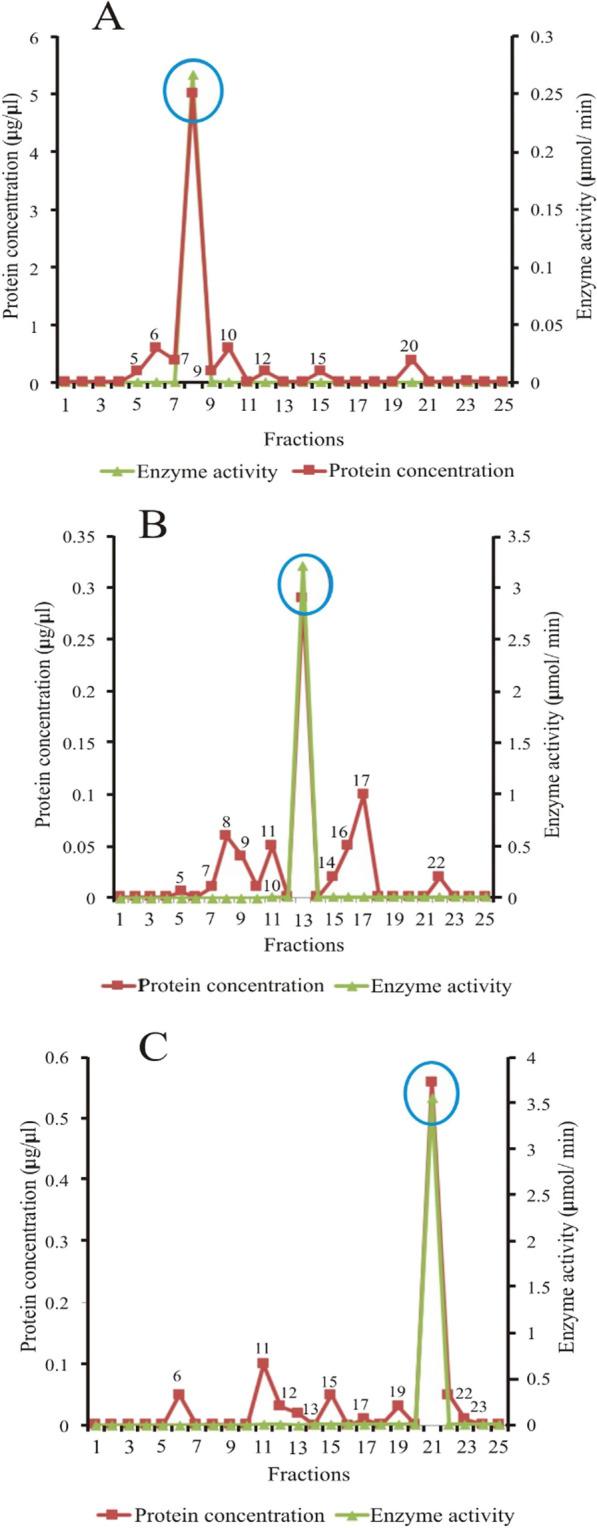 https://cdn.ncbi.nlm.nih.gov/pmc/blobs/00f2/10823708/da1431593e7e/41182_2024_581_Fig5_HTML.jpg