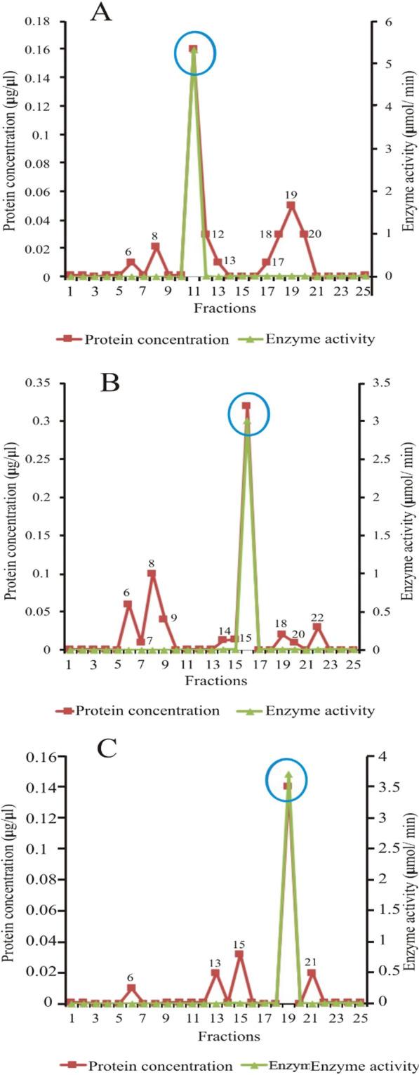 https://cdn.ncbi.nlm.nih.gov/pmc/blobs/00f2/10823708/da1eb7d34d51/41182_2024_581_Fig7_HTML.jpg