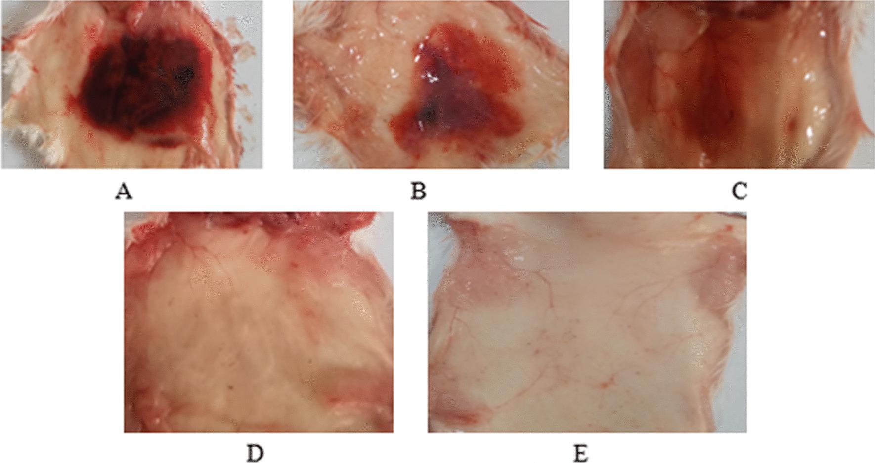 https://cdn.ncbi.nlm.nih.gov/pmc/blobs/00f2/10823708/eb7e0a186981/41182_2024_581_Fig2_HTML.jpg