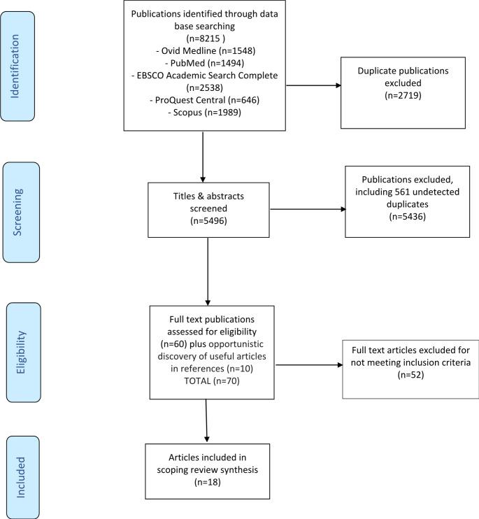 https://cdn.ncbi.nlm.nih.gov/pmc/blobs/00f3/11802602/0182f0b54232/11136_2024_3765_Fig1_HTML.jpg