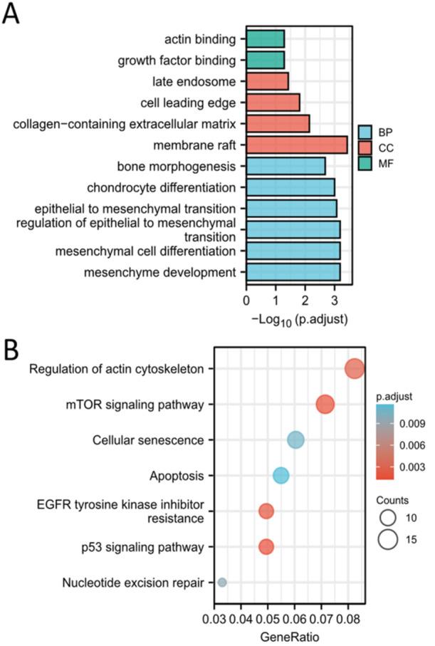 https://cdn.ncbi.nlm.nih.gov/pmc/blobs/00f4/11571097/02a98c47b75e/IID3-12-e70072-g004.jpg