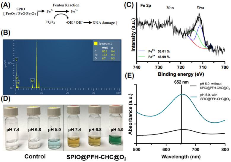 https://cdn.ncbi.nlm.nih.gov/pmc/blobs/00f4/11723374/b8a1af61843e/nanomaterials-15-00037-g002.jpg
