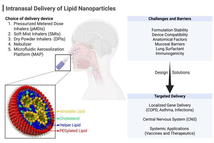 https://cdn.ncbi.nlm.nih.gov/pmc/blobs/00f5/12204099/d85ad7afe668/IJN-20-8085-g0001.jpg