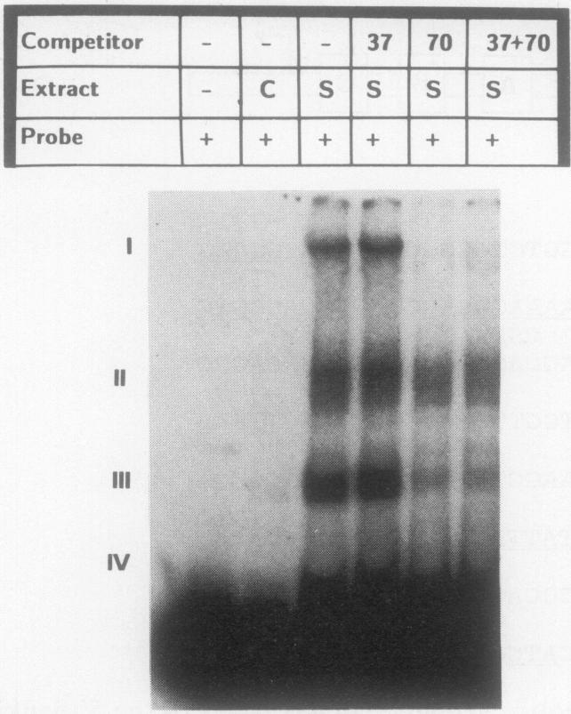 https://cdn.ncbi.nlm.nih.gov/pmc/blobs/00f7/369470/044469388694/molcellb00166-0508-a.jpg