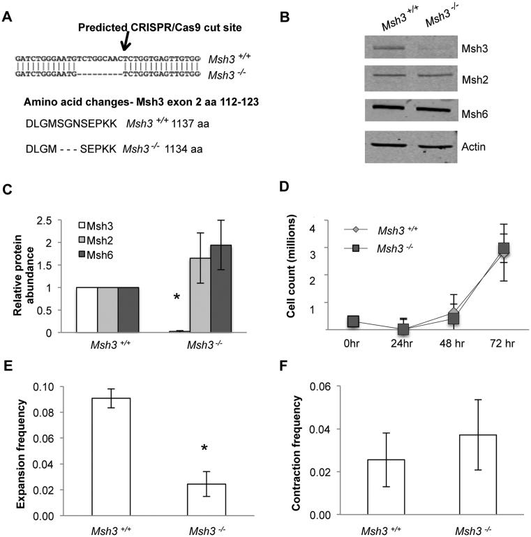 https://cdn.ncbi.nlm.nih.gov/pmc/blobs/00f7/5622409/a7d658c5fb07/gkx650fig1.jpg