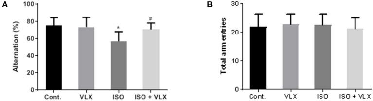 https://cdn.ncbi.nlm.nih.gov/pmc/blobs/00f8/7940694/037598d3d9c5/fneur-12-591223-g0002.jpg