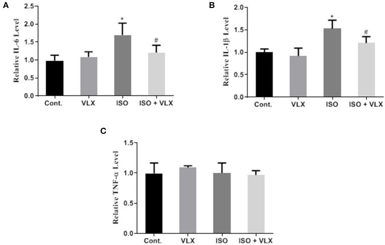 https://cdn.ncbi.nlm.nih.gov/pmc/blobs/00f8/7940694/b031ad5b1f84/fneur-12-591223-g0005.jpg