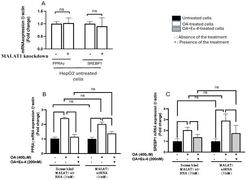 https://cdn.ncbi.nlm.nih.gov/pmc/blobs/00fb/11853215/8d7ae7e7de23/biomedicines-13-00370-g004.jpg