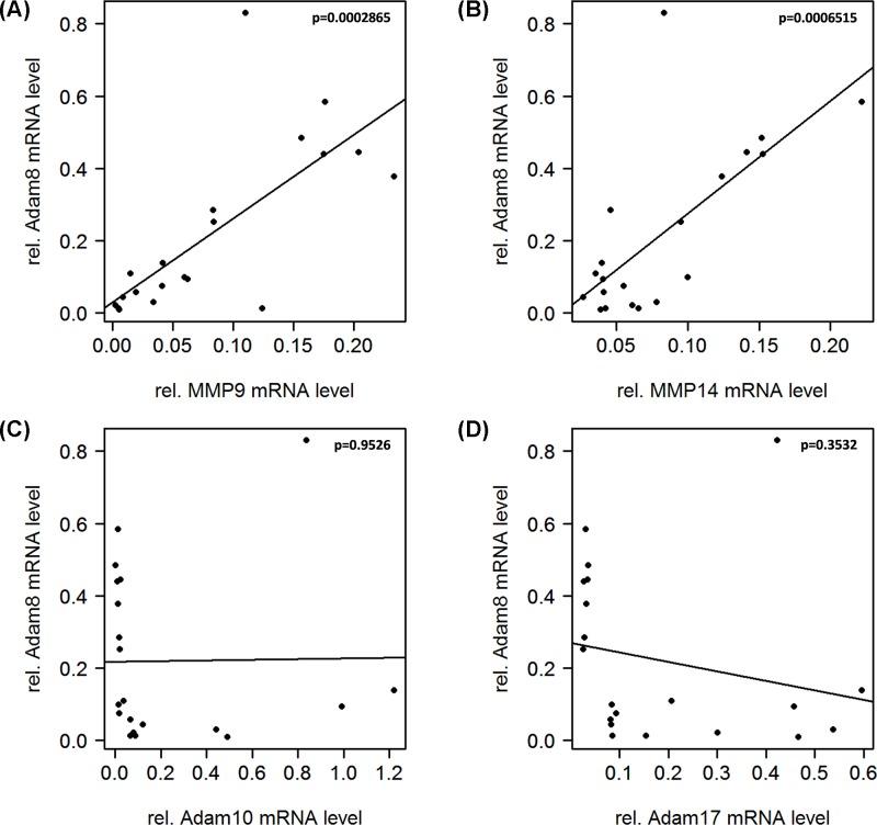 https://cdn.ncbi.nlm.nih.gov/pmc/blobs/00fb/6616040/ed158009a36d/bsr-39-bsr20182361-g4.jpg