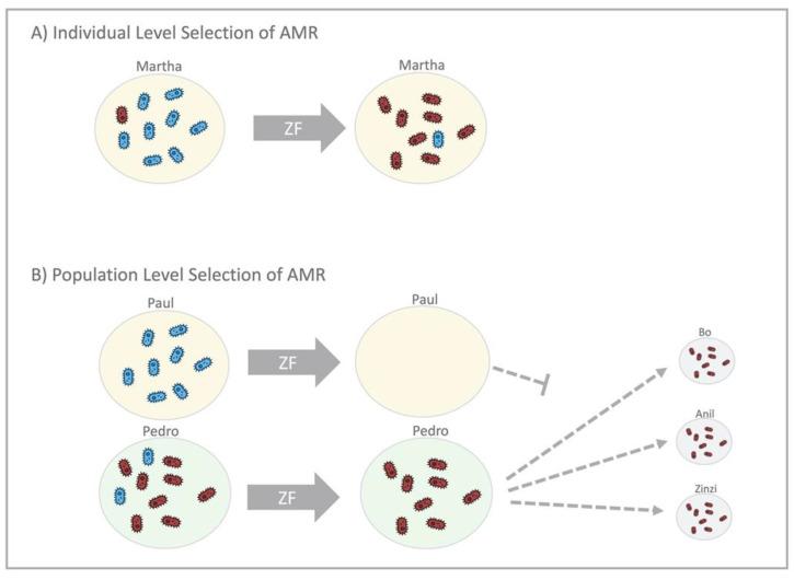 https://cdn.ncbi.nlm.nih.gov/pmc/blobs/00fb/8147325/3f786c958b3c/antibiotics-10-00515-g004.jpg