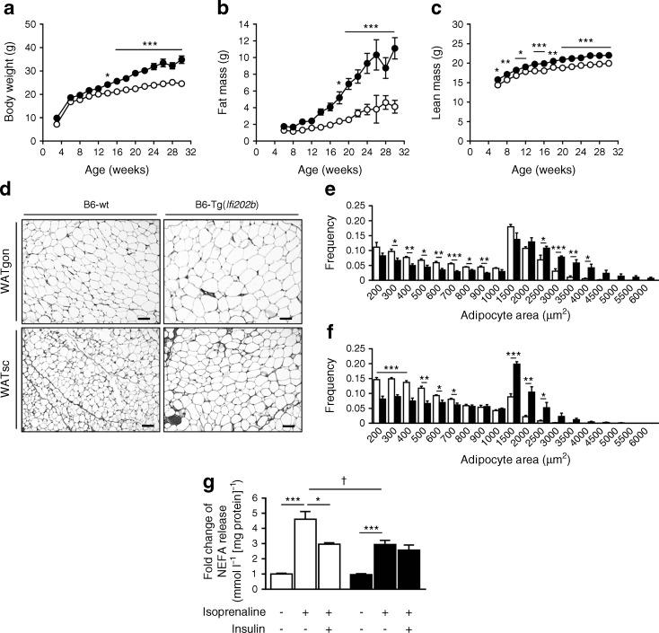 https://cdn.ncbi.nlm.nih.gov/pmc/blobs/00fd/6448999/b1752d1cb1d5/125_2018_4571_Fig1_HTML.jpg