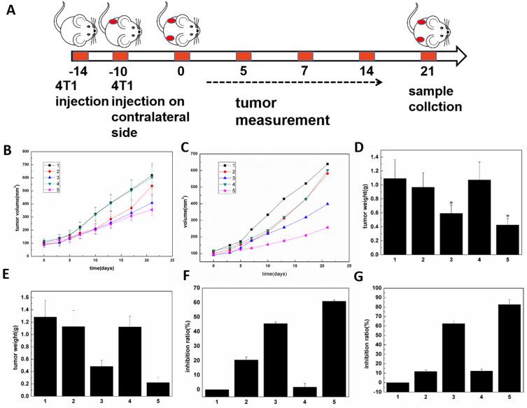 https://cdn.ncbi.nlm.nih.gov/pmc/blobs/0101/11344551/518f1621d33c/IJN-19-8501-g0010.jpg