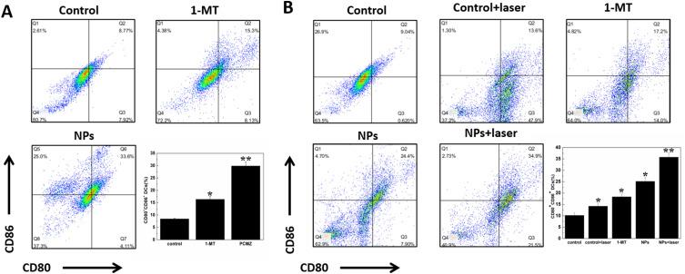 https://cdn.ncbi.nlm.nih.gov/pmc/blobs/0101/11344551/5f23e2ffa36d/IJN-19-8501-g0006.jpg