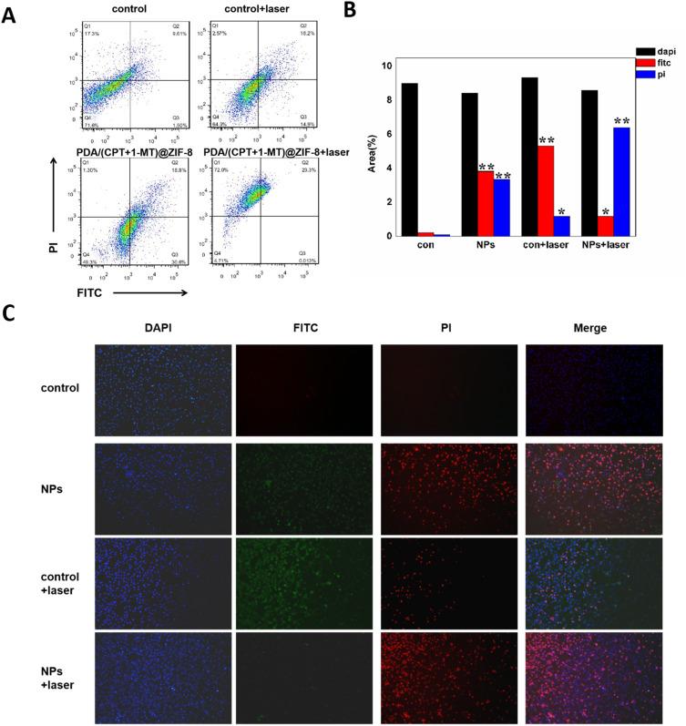 https://cdn.ncbi.nlm.nih.gov/pmc/blobs/0101/11344551/8f8cf4762811/IJN-19-8501-g0005.jpg