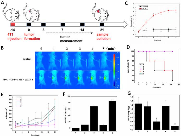 https://cdn.ncbi.nlm.nih.gov/pmc/blobs/0101/11344551/a6565951af11/IJN-19-8501-g0008.jpg