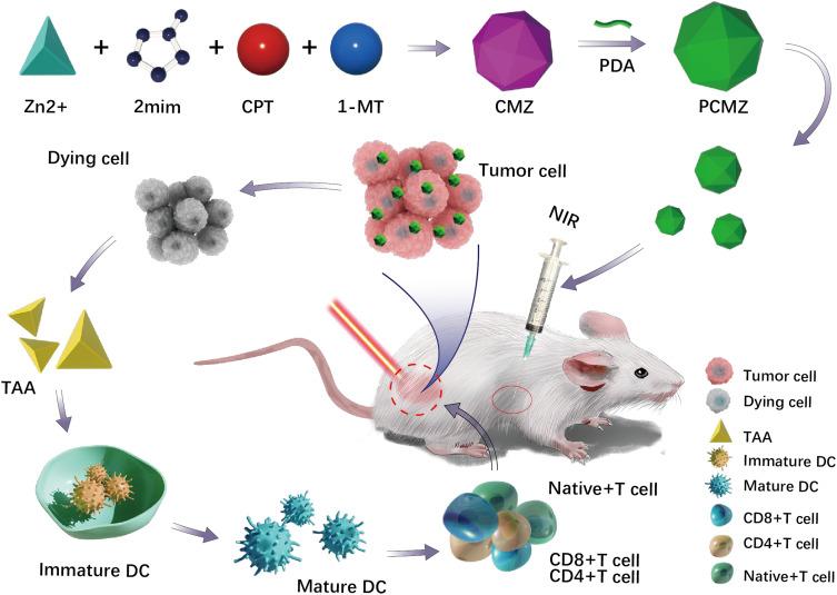 https://cdn.ncbi.nlm.nih.gov/pmc/blobs/0101/11344551/c82b6c0e239a/IJN-19-8501-g0001.jpg