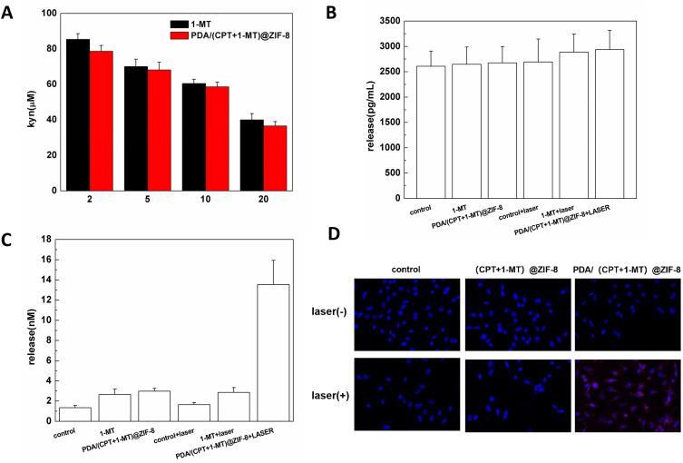 https://cdn.ncbi.nlm.nih.gov/pmc/blobs/0101/11344551/fee34ef53ef7/IJN-19-8501-g0007.jpg