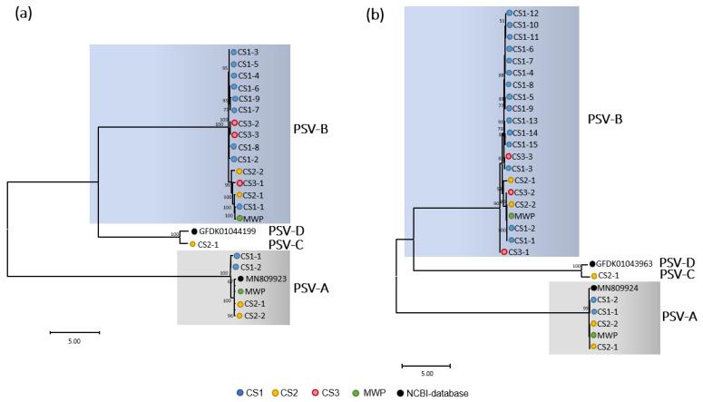 https://cdn.ncbi.nlm.nih.gov/pmc/blobs/0102/9787488/103b2ef5b99b/pathogens-11-01470-g004.jpg