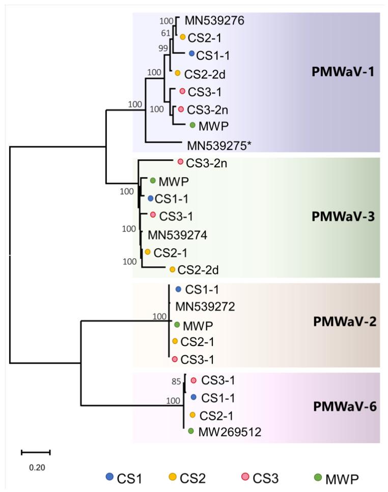 https://cdn.ncbi.nlm.nih.gov/pmc/blobs/0102/9787488/9291704df844/pathogens-11-01470-g002.jpg