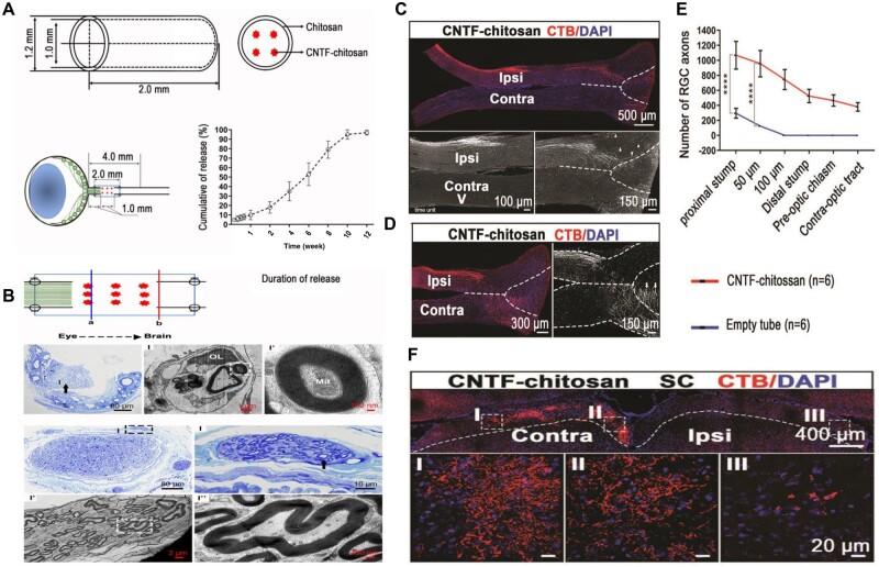 https://cdn.ncbi.nlm.nih.gov/pmc/blobs/0103/11703557/6a7abd72abc2/rbae133f8.jpg