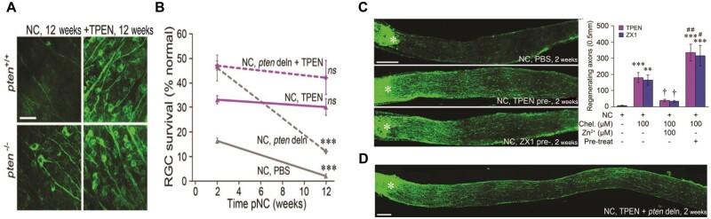https://cdn.ncbi.nlm.nih.gov/pmc/blobs/0103/11703557/89f0ff411b28/rbae133f4.jpg